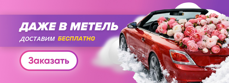 Спецпредложение