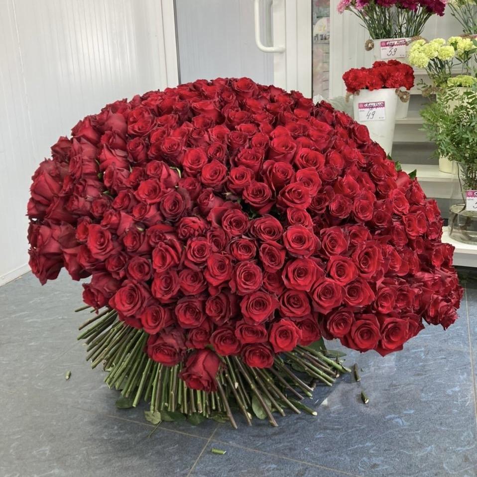 Букеты из красных роз 80 см (Эквадор) [№: 37572kurgan]