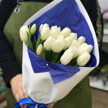 Белые тюльпаны 23 шт. [артикул   62403kur]