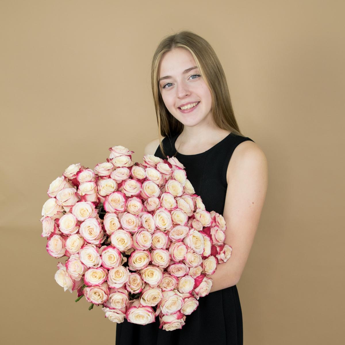 Розы красно-белые (40 см) Эквадор код  93krg