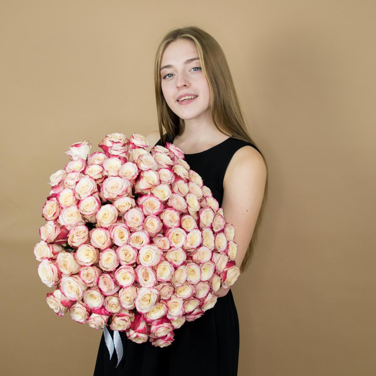 Розы красно-белые 101 шт. (40 см) (articul: 16554)