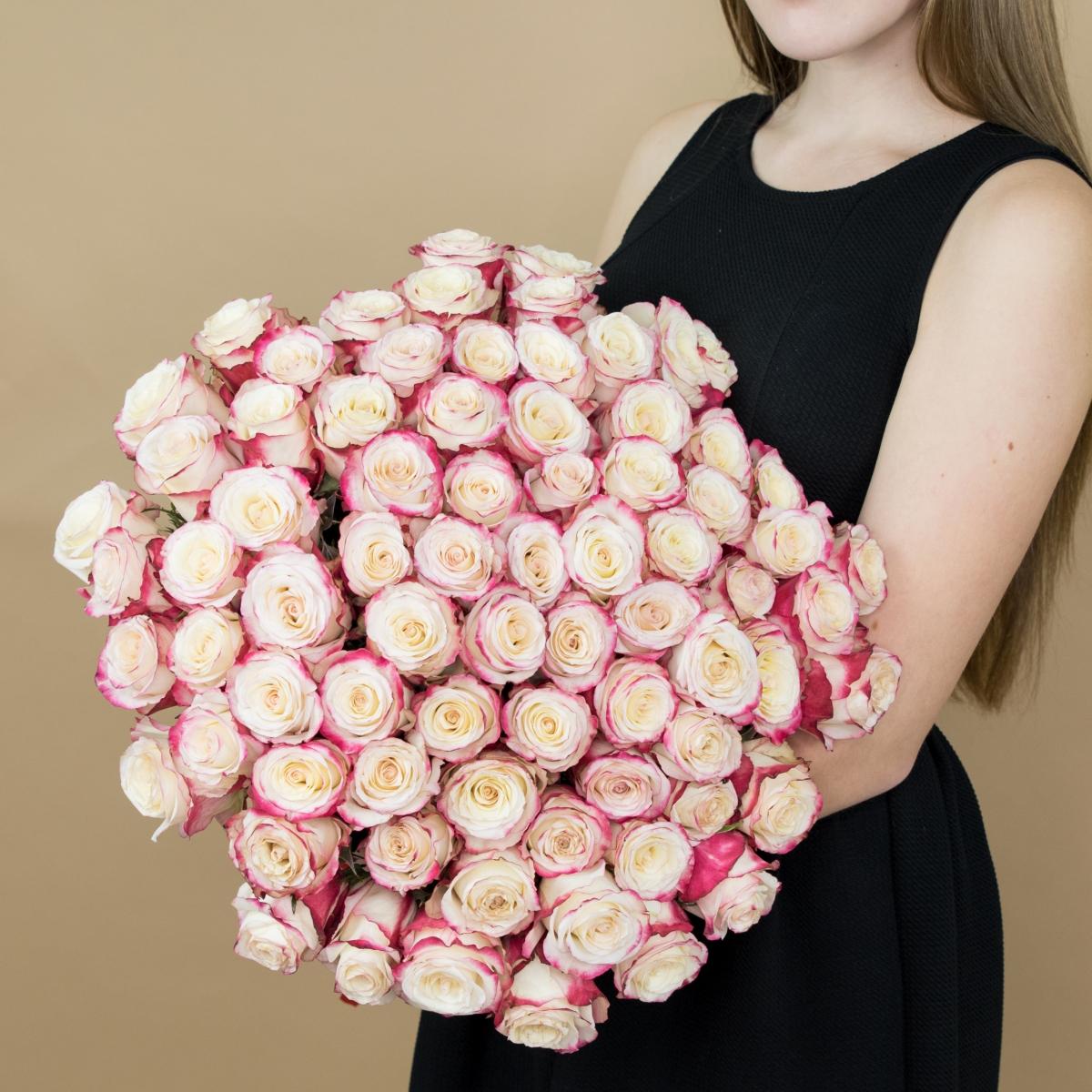 Розы красно-белые 101 шт. (40 см) (articul: 16554)