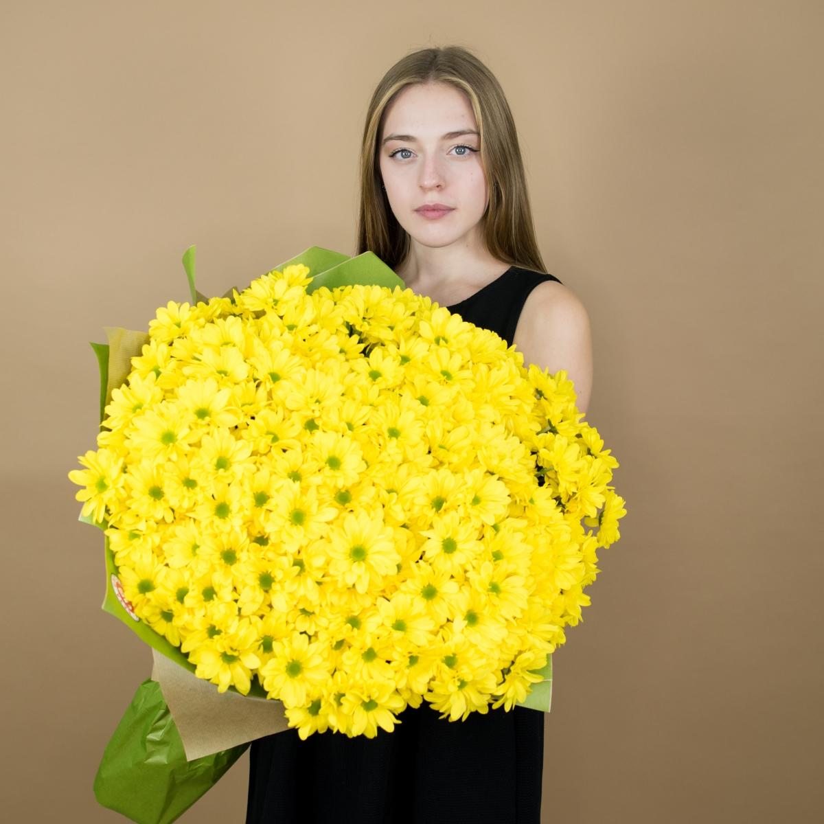 Хризантема кустовая желтая articul  17143krg